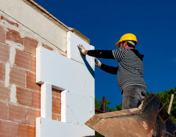 Best Insulation for Specific Applications in Lopezville, TX