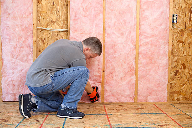 Best Types of Insulation in Lopezville, TX